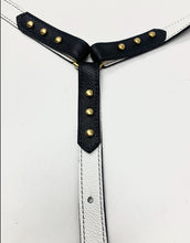 HARNESS, Flash