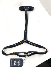 HARNESS, Flash