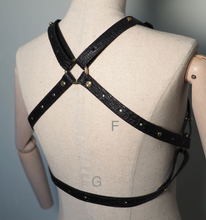 HARNESS, Immersive
