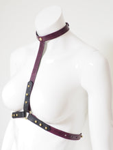 HARNESS, Flash