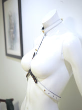HARNESS, Flash