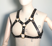 HARNESS, Immersive