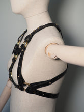 HARNESS, Immersive